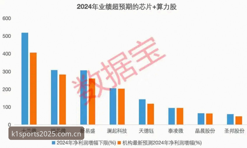 K1体育官网 揭秘K1体育官网2025新版:技术升级背后的登录体验真相